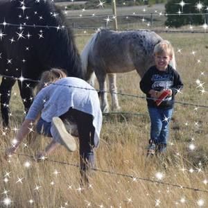 Meet your Posher, Holly